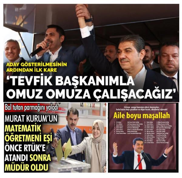 Ayollar mushuklari (rasmlarga qarang)